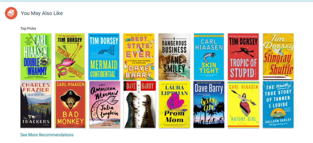 Text reads you may also like and see more recommendations with two rows of eight book titles.