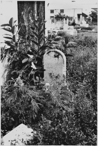 An overgrown gravestone