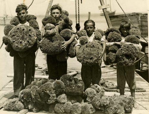 Four kids holding large sponges on a dock with more sponges in a pile in front of them.