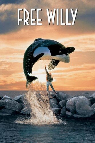 Free Willy. Image of an orca jumping over a boy who is standing on a stone jetty.