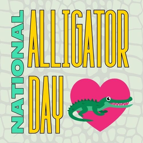 Big Pine Pre-Summer Reading: National Alligator Day @ Big Pine Library