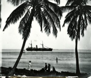 A ship near shore with people and palm trees in the foreground.