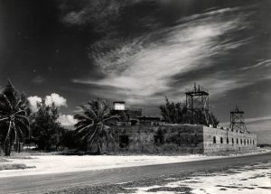 A brick fort with palm trees inside and outside.